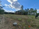 Działki 20ar, 33ar z wydanymi WZ - Dąbrówka gm. Ulanów - 1