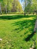 Malownicza działka pod lasem - 13