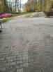 Lokal użytkowy Radzymin - 13