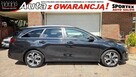 Kia Cee'd 1.6 CRDI MHEV, L, BUSINESS LINE DCT Bezwypadkowy f.vat 23%, - 7