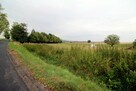Działka budowlana Owiesno gm. Dzierżoniów - 3