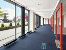 Lokal użytkowy Warszawa gm. Mokotów Mokotów, Domaniewska - 2