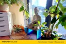 Dom 465 m² biznes + mieszkanie, plac, lasy! - 7