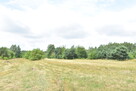 Komfortowy dom do wykończenia. - 13