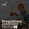 Prowadzący cieśli - Niemcy - bez języka niemieckiego (m/k)