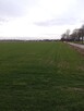 Sprzedam działki Winnica, 1000-1300m2 - 10