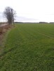 Sprzedam działki Winnica, 1000-1300m2 - 14