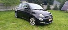 Fiat 500 - 2