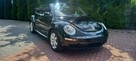 Volkswagen New Beetle Cabrio - 2