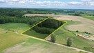 Działka rolna Róże gm. Węgorzewo - 6
