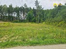 Działka budowlana Strzegomek gm. Rytwiany, - 2