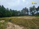 Działka budowlana Strzegomek gm. Rytwiany, - 9