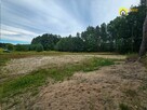 Działka budowlana Strzegomek gm. Rytwiany, - 12