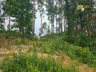 Działka budowlana Strzegomek gm. Rytwiany, - 13
