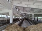 Sprzedam Gospodarstwo Rolne - 6