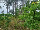 Działka leśna Strzegomek gm. Rytwiany, - 4
