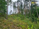 Działka leśna Strzegomek gm. Rytwiany, - 5