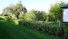 Działka ROD 448m2 Piła ul Różyckiego - 15