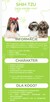 Szczeniaki Shih tzu rezerwacja - 6