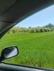 Sandomierz - dzialka 48 ar przy ul. Lipowej, mozliwy podzial - 6