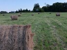 siano bele w stodole dla alpak, kóz, owiec, królików - ekstr - 5