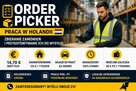 ORDER PICKER - MAGAZYN - HOLANDIA