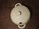 Zabytkowa Porcelana Karolinka