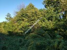 ⭐⭐⭐⭐DOM  -DZIAŁKA 1000 M2  ⭐⭐⭐⭐ - 7