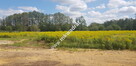⭐⭐⭐⭐DOM  -DZIAŁKA 1000 M2  ⭐⭐⭐⭐ - 9