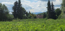 Maciejowa / Widok Śnieżka/ 1452m2/Media - 2