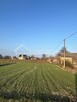 Działka budowlana Stasiówka gm. Łomazy, Stasiówka - 4