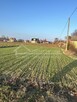 Działka budowlana Stasiówka gm. Łomazy, Stasiówka - 5