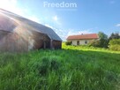 Duża działka ze starym domem i stodołą - 5