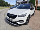Opel Grandland X 2020/SALON POLSKA/1 WŁ/serwis ASO/gwarancja