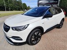 Opel Grandland X 2020/SALON POLSKA/1 WŁ/serwis ASO/gwarancja - 5