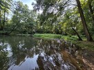 Działka siedliskowa Czarnówka gm. Wiązowna - 14