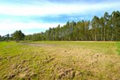 Działka budowlana Daleszyce Trzemosna - 10