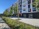 Lokal użytkowy Wrocław Krzyki, Tarnogaj, Międzyleska - 11