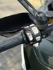Triumph Tiger - 6