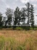 Działka Jastrzębie-Zdrój Bzie Dolne, Kłosowa - 2