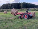 siano bele w stodole dla alpak, kóz, owiec, królików - ekstr - 9