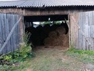 siano bele w stodole dla alpak, kóz, owiec, królików - ekstr - 15