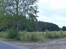 Działka 2,78ha rolno-budowlana - 2
