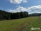 Działka rolna Berezka gm. Solina - 9