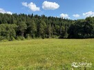 Działka rolna Berezka gm. Solina - 7