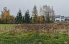 Domasław, Bielany, działka budowlana 1550 m2 - 1