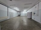Lokal użytkowy Świdnica