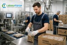 Zlecenie – produkcja i pakowanie karmy dla ptaków