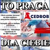 Laborant - Laborantka (K/M) Wytwórnia Pasz w Rypinie