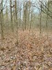 Nieruchomość - Starachowice - 3